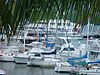 Pier Marina
