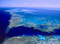 Diversion Dive Travel