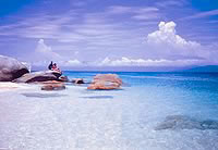 Fitzroy Island Dive