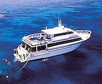Cairns Reef Dive
