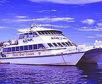 Cairns Reef Dive